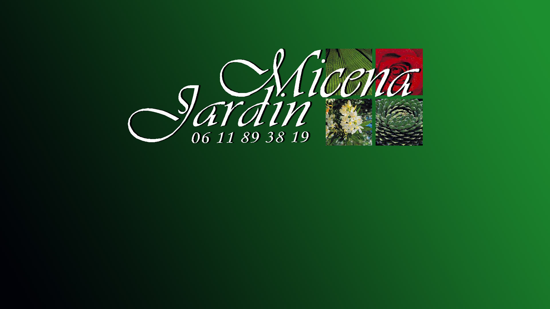 micena-jardin-espaces-verts Micena jardin - jardinier paysagiste - pegomas - la roquette - Mandelieu - entretien jardin